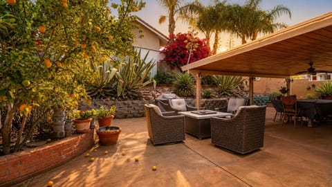Patio, Seating area