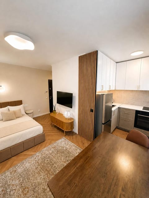 Bed, TV and multimedia, Kitchen or kitchenette, Living room, Photo of the whole room, Seating area, Bedroom