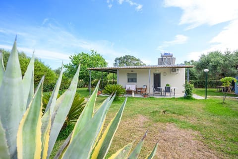Garden, Garden view