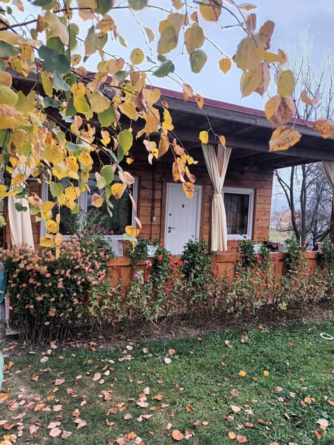 Property building, Day, Autumn