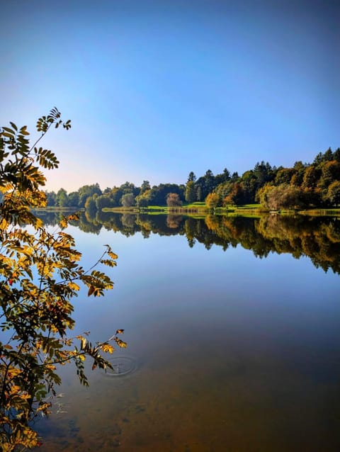 Lake view