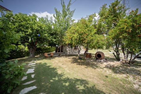 Day, Natural landscape, On site