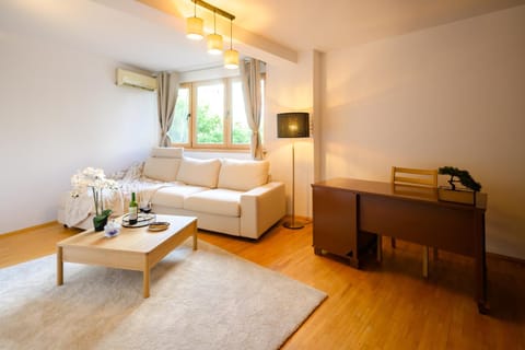 Living room, air conditioner