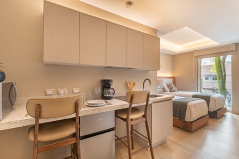 Kitchen or kitchenette, Bedroom