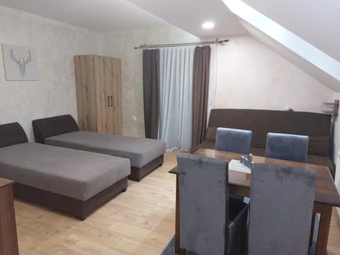 Apartments Vila Djurdja Apartment in Serbia