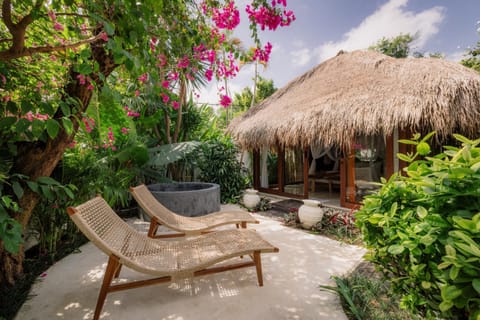 Spring, Day, Garden, sunbed