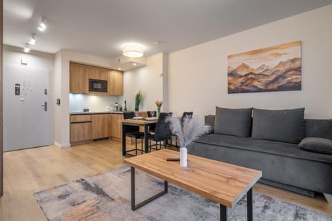 Kitchen or kitchenette, Living room, Seating area, Dining area, oven, stove