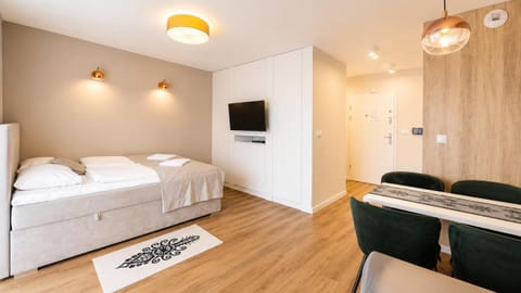 Bed, TV and multimedia, Living room, Photo of the whole room, Seating area, Evening entertainment, Bedroom, wardrobe