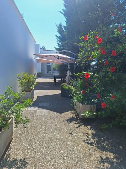 Inner courtyard view
