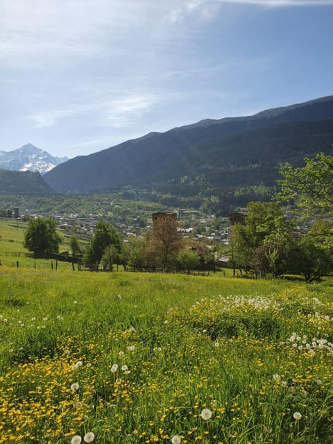 City view, Garden view, Mountain view