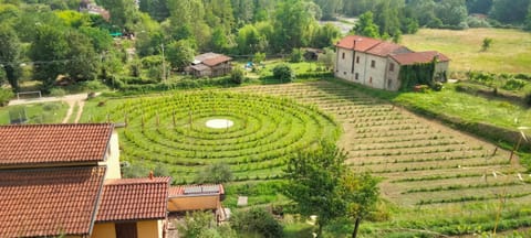 agriturismo il poderetto Farm Stay in Province of Massa and Carrara