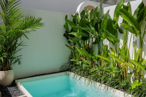 Day, Garden, Garden view, Pool view, Swimming pool