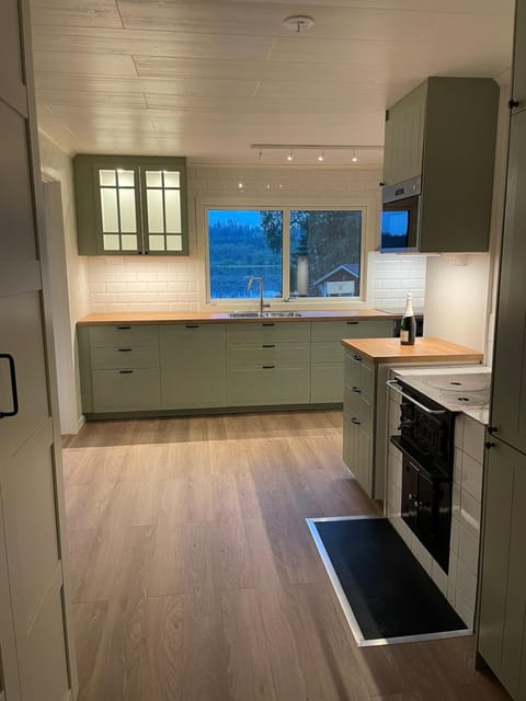 Kitchen or kitchenette, dishwasher, oven, stove