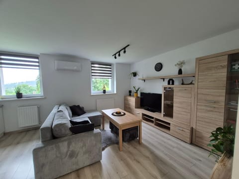 Living room, Photo of the whole room, Seating area