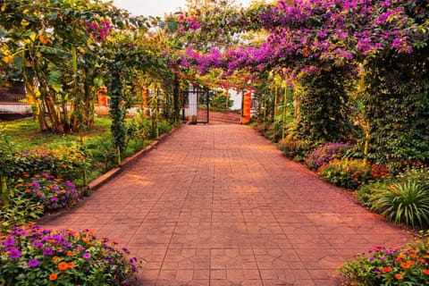 Natural landscape, Garden