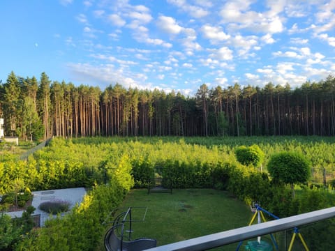 Day, Natural landscape