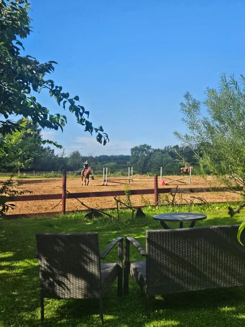 Natural landscape, Garden, Garden view