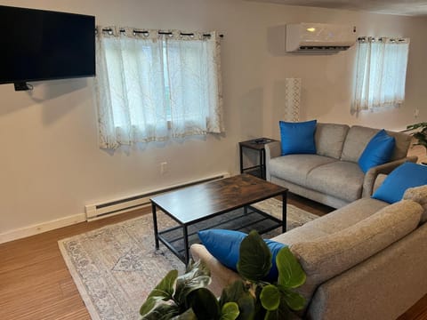 TV and multimedia, Living room, Seating area, Evening entertainment, air conditioner