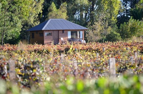Property building, Natural landscape