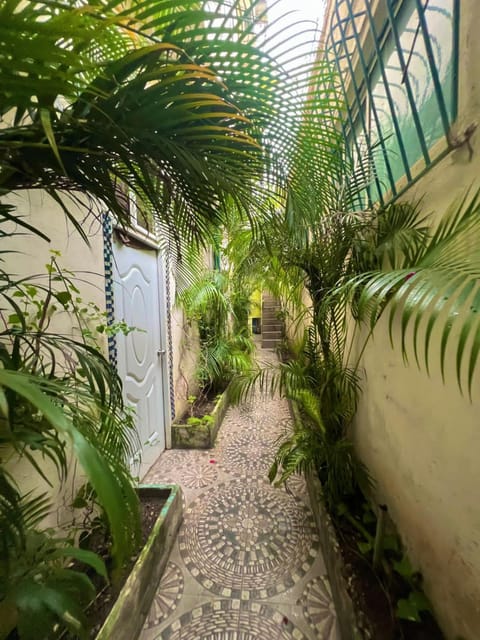Natural landscape, Garden, Garden view