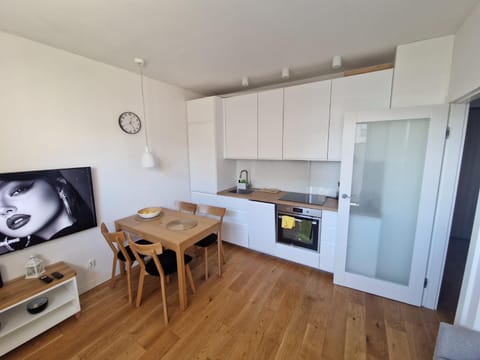 Kitchen or kitchenette, Dining area, oven, stove