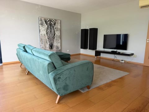 Communal lounge/ TV room, TV and multimedia, Living room