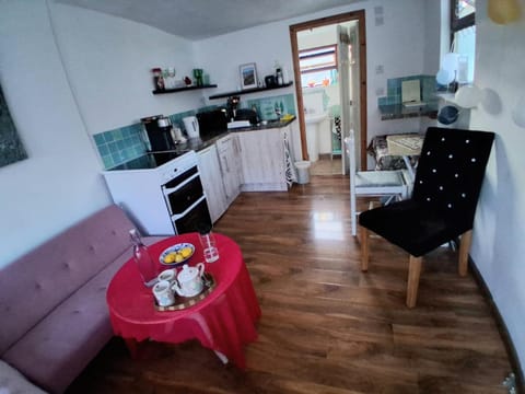 Kitchen or kitchenette, Living room, Seating area, oven, stove