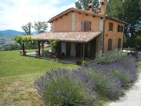 Facade/entrance, Garden view