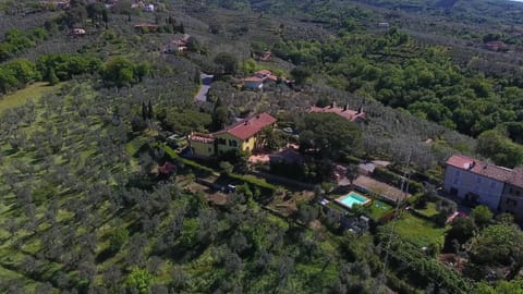 Natural landscape, Bird's eye view, View (from property/room), Garden view