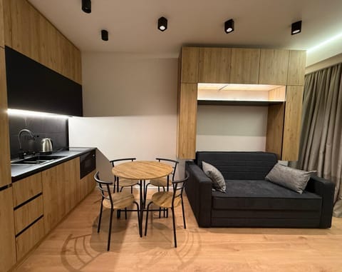 Kitchen or kitchenette, Living room, Dining area