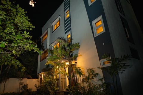 Property building, Night, Garden
