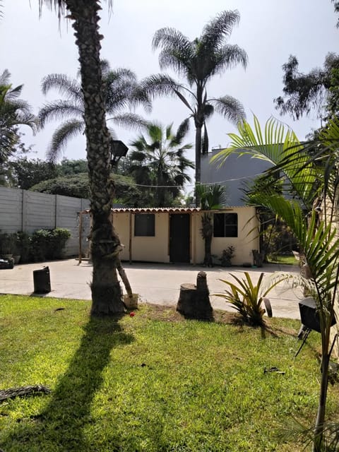Day, Garden, Garden, Garden view