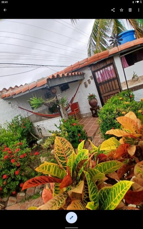 Garden, Balcony/Terrace