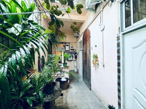 Day, Garden, Garden, Garden view