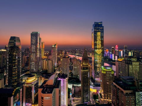 Night, Bird's eye view, City view