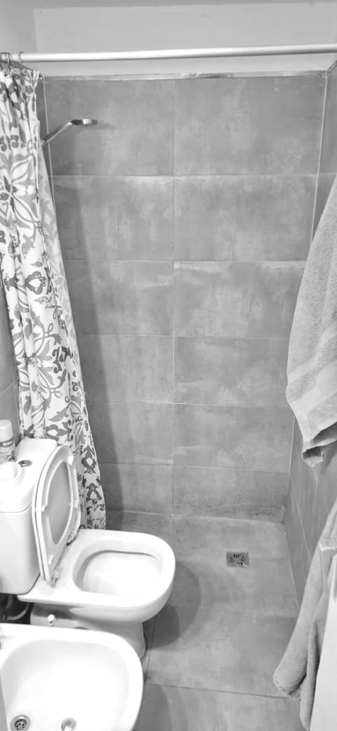 Shower, Toilet, Bathroom, bidet