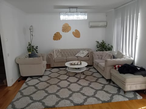 Living room, Seating area, air conditioner