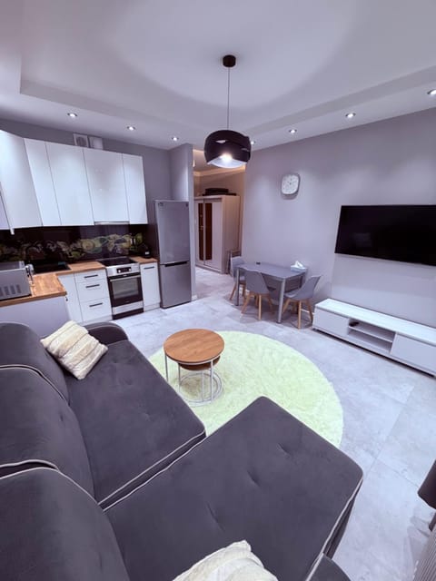 TV and multimedia, Kitchen or kitchenette, Living room, Seating area, oven, stove