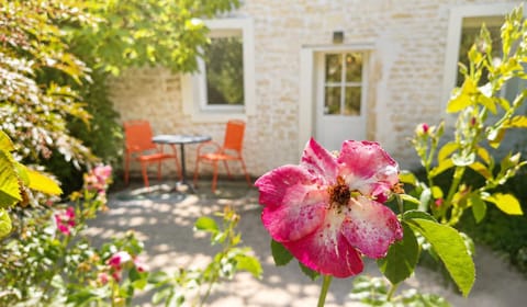 Patio, Garden, Garden view