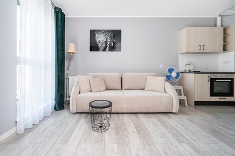 Kitchen or kitchenette, Living room, Seating area