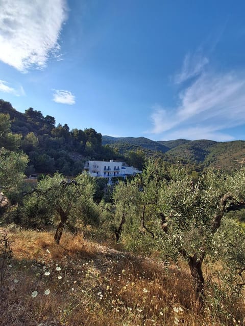 Property building, Bird's eye view, Landmark view, Mountain view