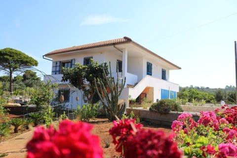 Property building, Day, Garden