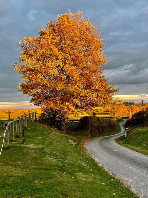 Natural landscape