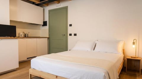 Bed, TV and multimedia, Kitchen or kitchenette, Photo of the whole room, Bedroom