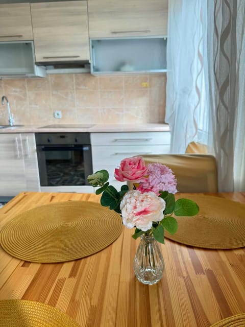 Kitchen or kitchenette, Dining area, stove