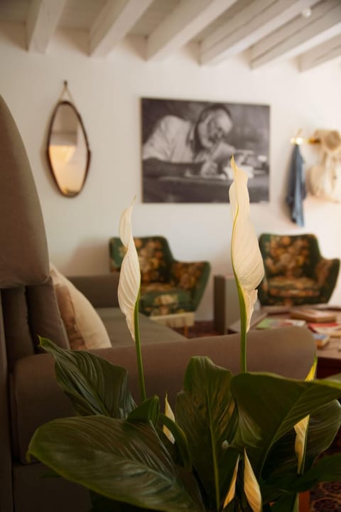 Living room, Decorative detail, Seating area