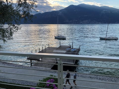 Lake view