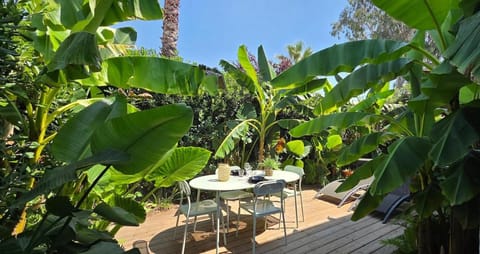 Patio, Balcony/Terrace