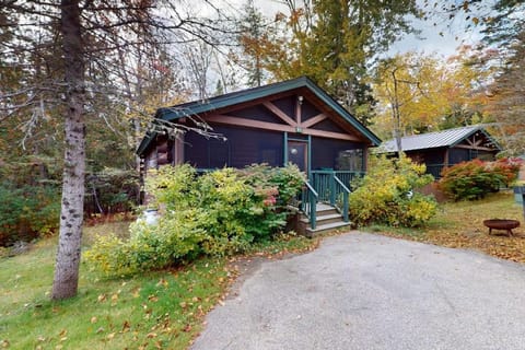 Property building, Spring, Day, Garden