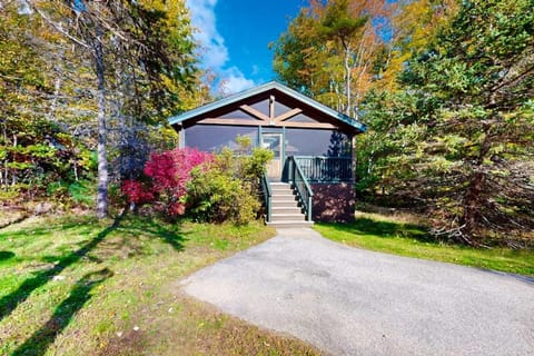 Property building, Spring, Day, Garden